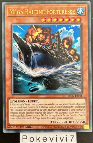 Carta mega balena - carta,