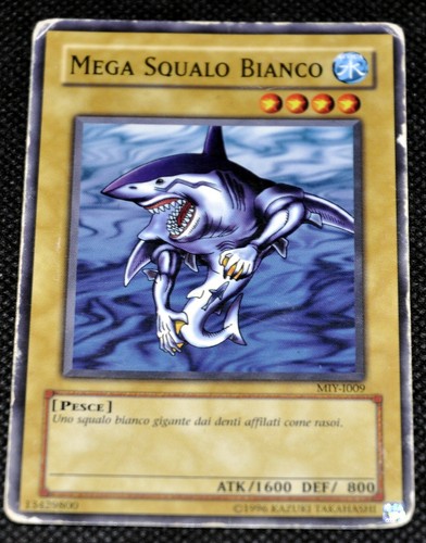 Mega squalo bianco - ,